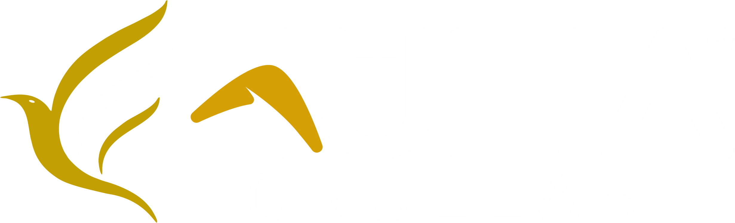 Hüma Okulları